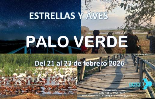 Anuncio Palo Verde 2026
