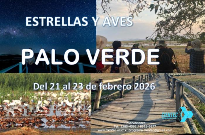 Anuncio Palo Verde 2026