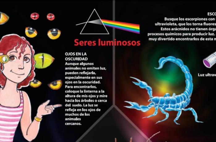 Seres luminosos