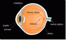 Proteja sus ojos del sol directo